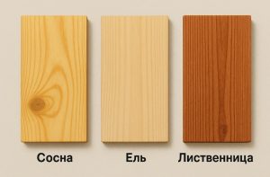 Какой древесиной лучше обшивать баню?